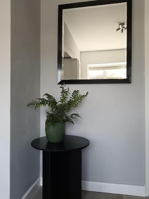 Dingle Escape -2 Bed -Sleeps 4 Apartment Ngoại thất bức ảnh